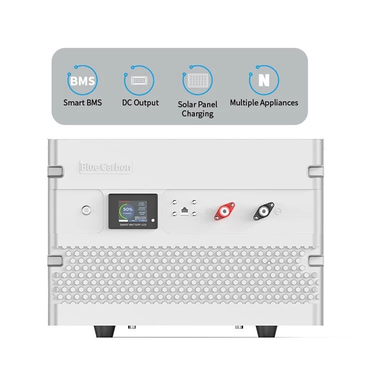 Blue Carbon High Efficiency Lifepo4 Battery Pack 48V 200AH